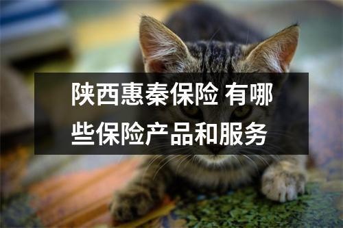 陕西惠秦保险 有哪些保险产品和服务