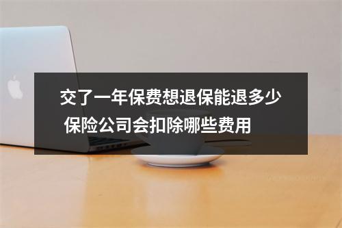 交了一年保费想退保能退多少 保险公司会扣除哪些费用