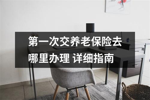 第一次交养老保险去哪里办理 详细指南