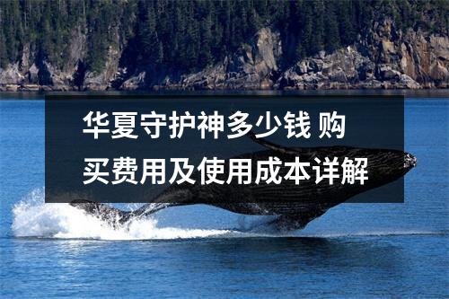 华夏守护神多少钱 购买费用及使用成本详解