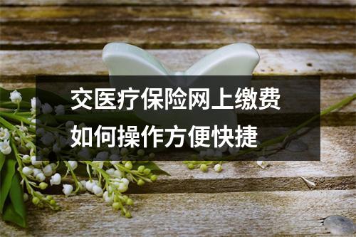 交医疗保险网上缴费 如何操作方便快捷