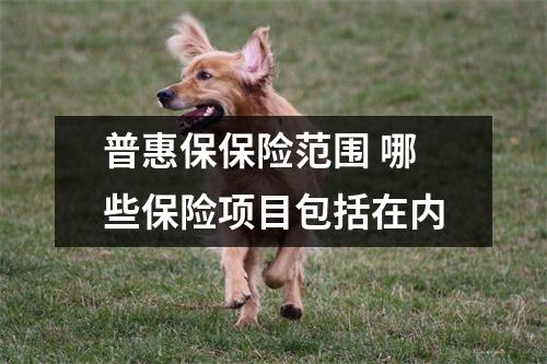 普惠保保险范围 哪些保险项目包括在内