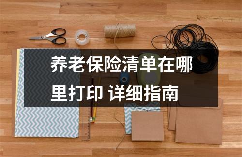 养老保险清单在哪里打印 详细指南