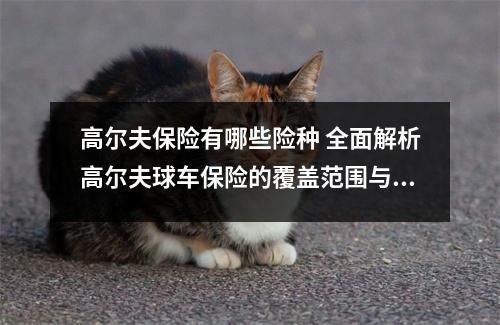 高尔夫保险有哪些险种 全面解析高尔夫球车保险的覆盖范围与保障内容