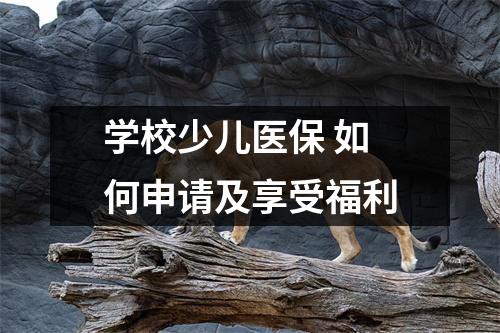 学校少儿医保 如何申请及享受福利