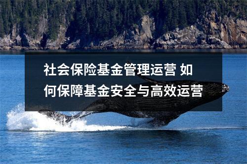 社会保险基金管理运营 如何保障基金安全与高效运营