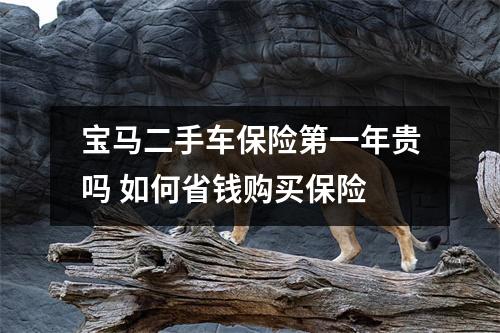 宝马二手车保险第一年贵吗 如何省钱购买保险