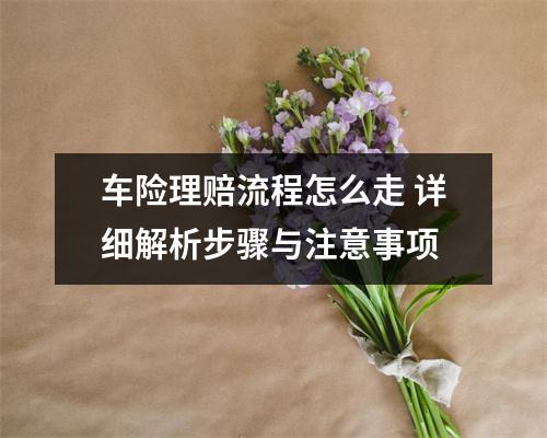 车险理赔流程怎么走 详细解析步骤与注意事项