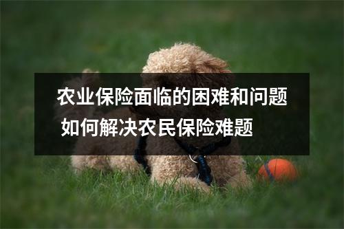 农业保险面临的困难和问题 如何解决农民保险难题