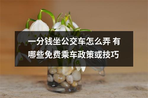 一分钱坐公交车怎么弄 有哪些免费乘车政策或技巧
