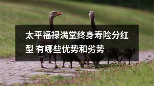太平福禄满堂终身寿险分红型 有哪些优势和劣势 