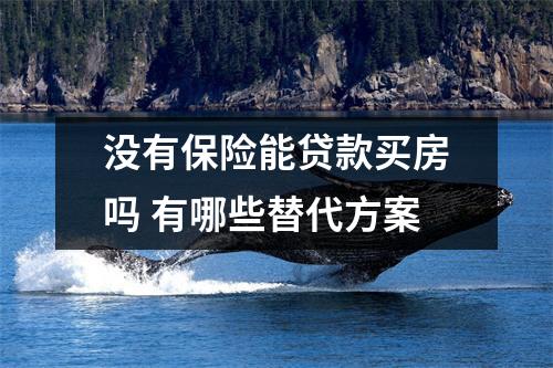 没有保险能贷款买房吗 有哪些替代方案