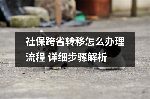 社保跨省转移怎么办理流程 详细步骤解析