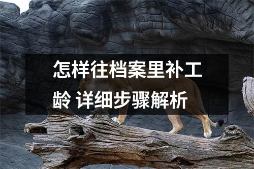 怎样往档案里补工龄 详细步骤解析