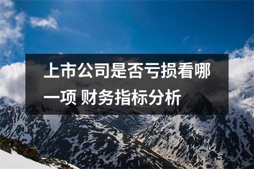 上市公司是否亏损看哪一项 财务指标分析