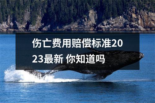 伤亡费用赔偿标准2023最新 你知道吗