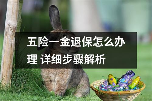 五险一金退保怎么办理 详细步骤解析