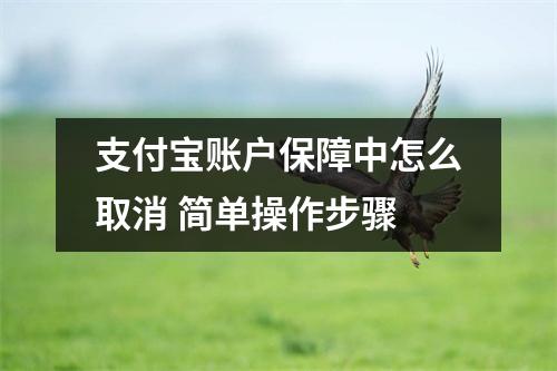 支付宝账户保障中怎么取消 简单操作步骤