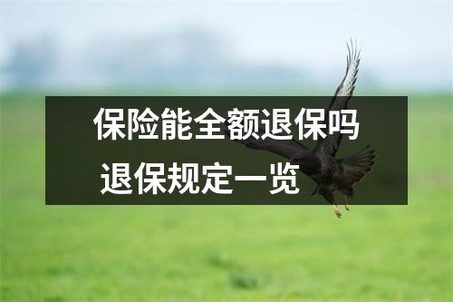 保险能全额退保吗 退保规定一览