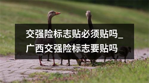 交强险标志贴必须贴吗_广西交强险标志要贴吗