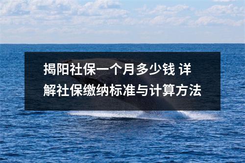 揭阳社保一个月多少钱 详解社保缴纳标准与计算方法