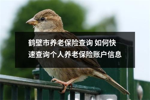 鹤壁市养老保险查询 如何快速查询个人养老保险账户信息