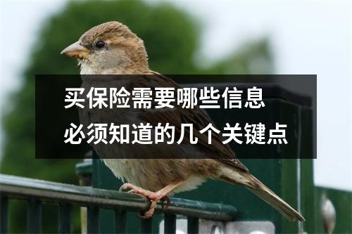 买保险需要哪些信息 必须知道的几个关键点