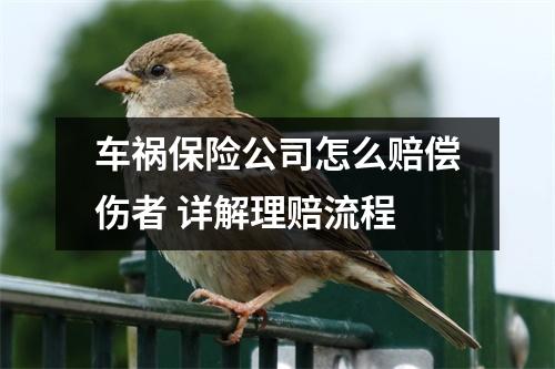 车祸保险公司怎么赔偿伤者 详解理赔流程