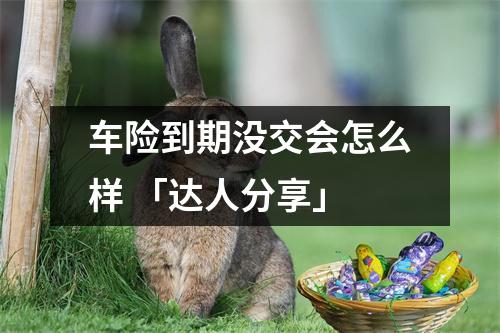 车险到期没交会怎么样 「达人分享」