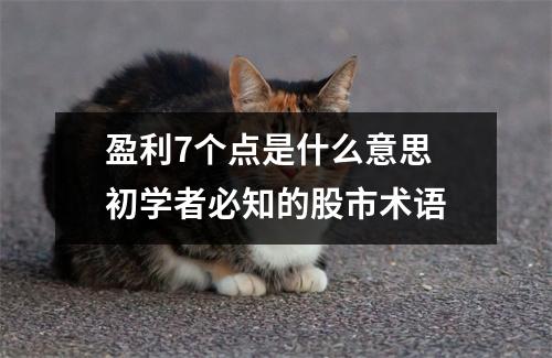 盈利7个点是什么意思 初学者必知的股市术语