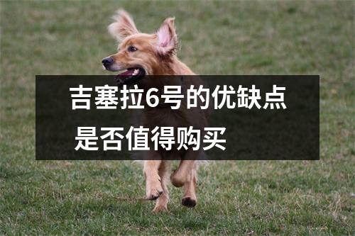 吉塞拉6号的优缺点 是否值得购买 