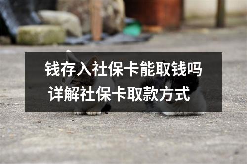 钱存入社保卡能取钱吗 详解社保卡取款方式