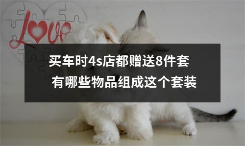 买车时4s店都赠送8件套 有哪些物品组成这个套装