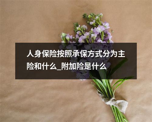 人身保险按照承保方式分为主险和什么_附加险是什么 