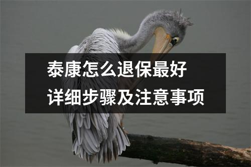 泰康怎么退保最好 详细步骤及注意事项