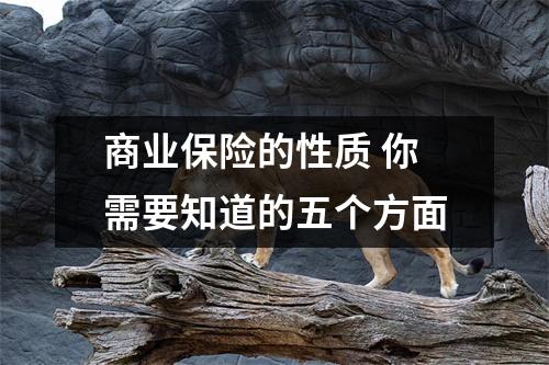 商业保险的性质 你需要知道的五个方面