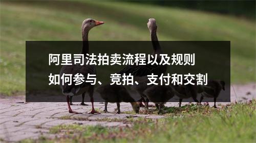 阿里司法拍卖流程以及规则 如何参与、竞拍、支付和交割