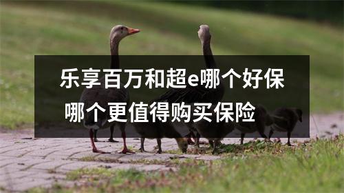 乐享百万和超e哪个好保 哪个更值得购买保险
