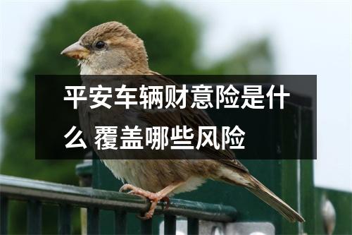 平安车辆财意险是什么 覆盖哪些风险