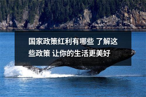国家政策红利有哪些 了解这些政策 让你的生活更美好