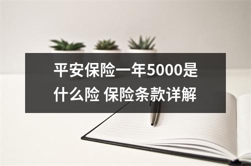 平安保险一年5000是什么险 保险条款详解