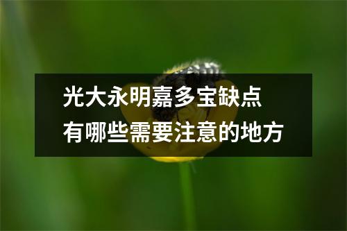 光大永明嘉多宝缺点 有哪些需要注意的地方