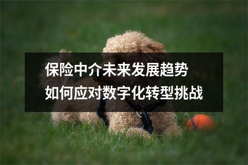 保险中介未来发展趋势 如何应对数字化转型挑战