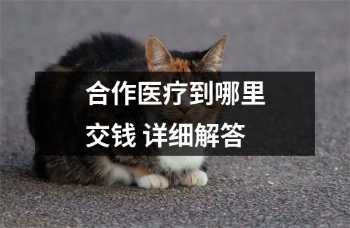合作医疗到哪里交钱 详细解答
