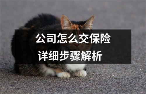 公司怎么交保险 详细步骤解析