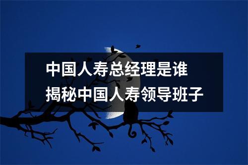 中国人寿总经理是谁 揭秘中国人寿领导班子