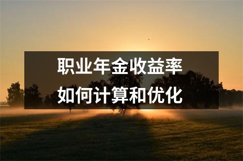 职业年金收益率 如何计算和优化