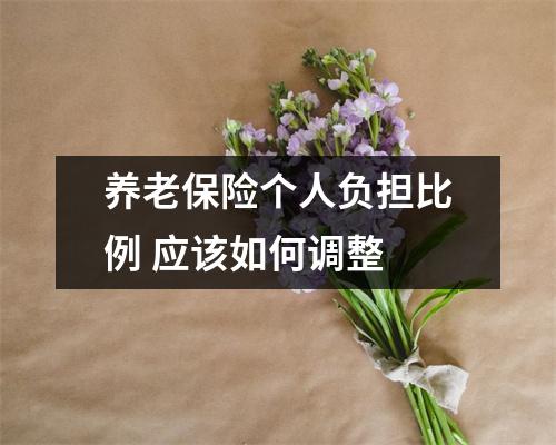 养老保险个人负担比例 应该如何调整 