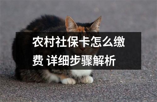农村社保卡怎么缴费 详细步骤解析