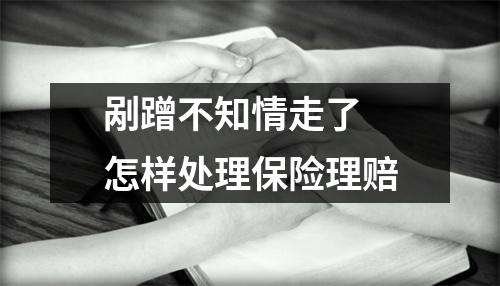 剐蹭不知情走了 怎样处理保险理赔